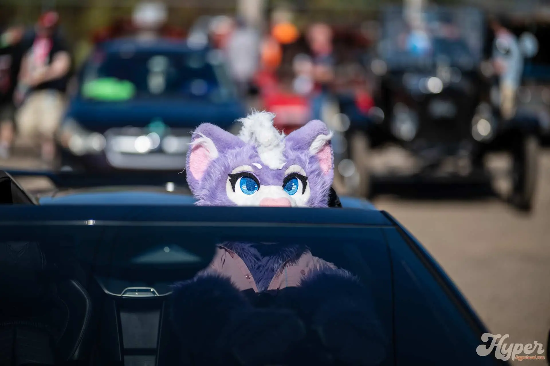 Furries being silly with a an old photoframe.
