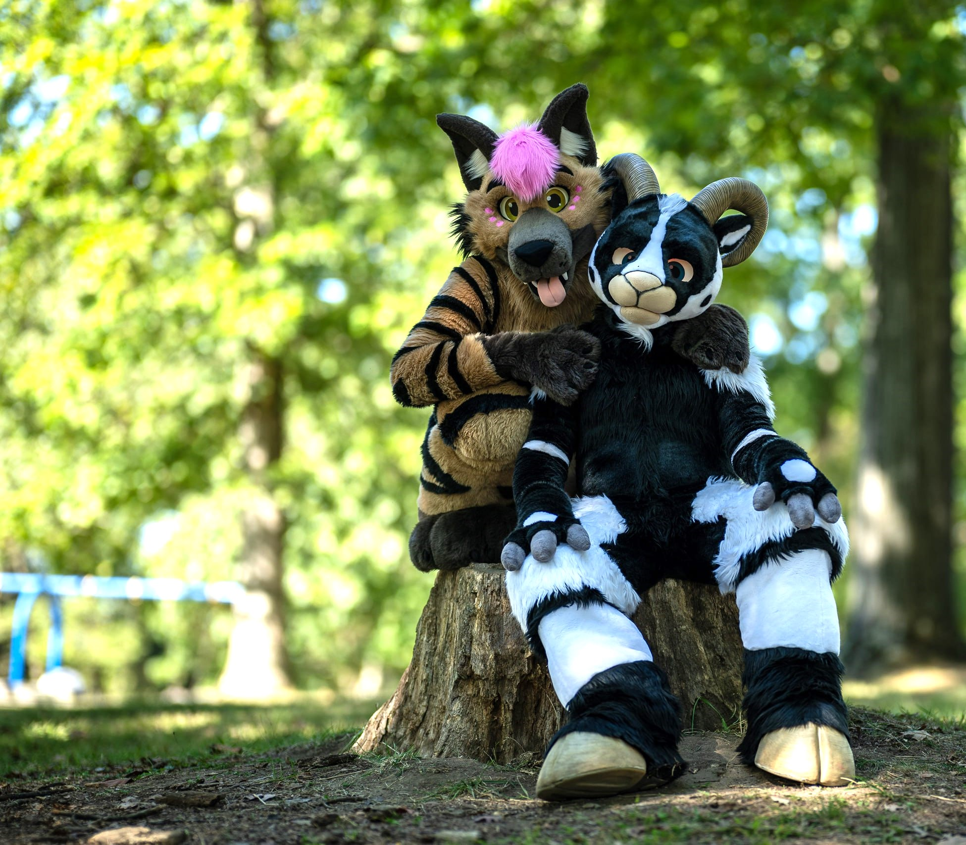 Furries being silly with a an old photoframe.