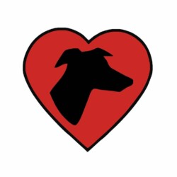 2015-2016 - Going Home Greyhounds Going Home Greyhounds logo