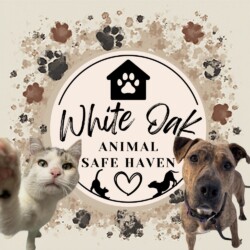 2017-2018 - White Oak Animal Safe Haven White Oak Animal Safe Haven logo