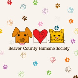 2008-2010 - Beaver County Humane Society Beaver County Humane Society logo