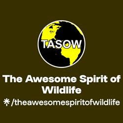 2020-2022 - The Awesome Spirit of Wildlife The Awesome Spirit of Wildlife logo
