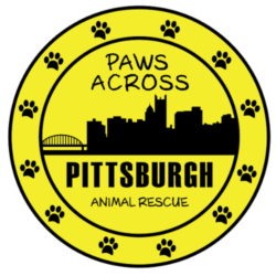 2022-2023 - Paws Across Pittsburgh Paws Across Pittsburgh logo